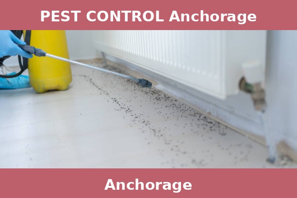 PEST CONTROL Anchorage